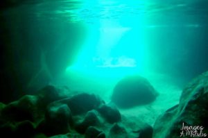 Κέρκυρα: Το Καρστικό Σπήλαιο στον Αντίψο (Έρμονες). (Φωτ.)  