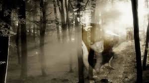 Αερικό (λαογραφία)  