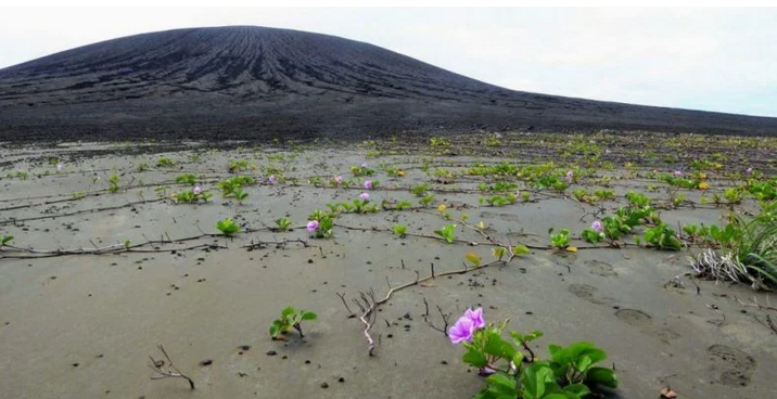 NASA: Νέο νησί του Ειρηνικού στο επίκεντρο των ερευνών της  