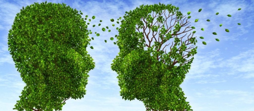 Άνοια- Αλτσχάιμερ: Ποια τρία ποτά προστατεύουν από την απώλεια μνήμης;  