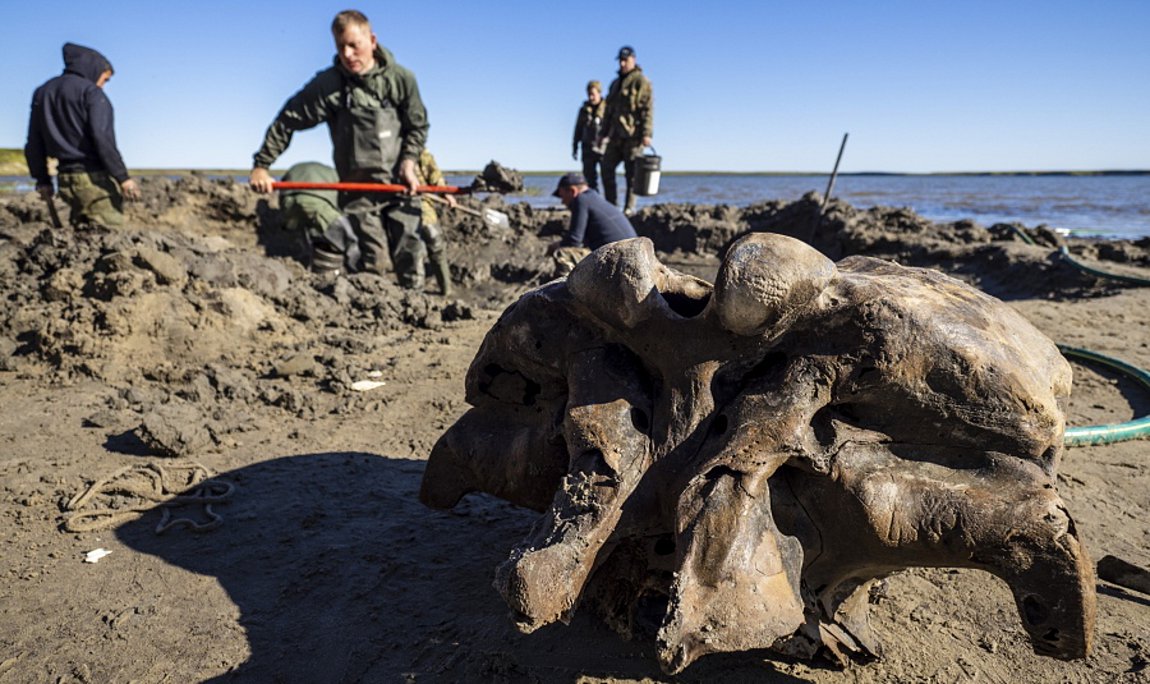 Ρωσία: Οστά μαλλιαρού μαμούθ βρέθηκαν σε λίμνη  