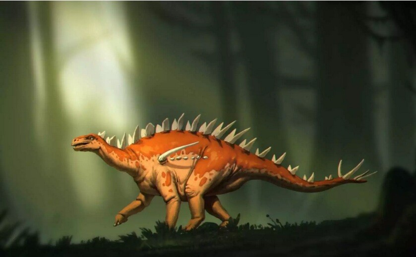Ανακαλύφτηκε ο Μπασανόσαυρος, το αρχαιότερο είδος στεγόσαυρου στην Ασία  