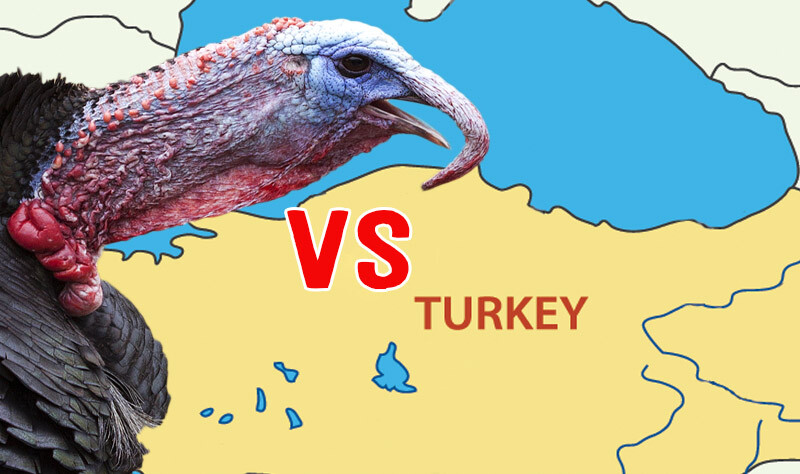 Όχι πια Turkey: H Τουρκία αλλάζει επισήμως όνομα στη διεθνή σκηνή  