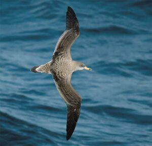 ΑΡΤΕΜΗΣ ΝΕΑ ΕΚΠΟΜΠΗ ΠΡΟΣΒΑΣΙΜΗ ΣΕ ΟΛΟΥΣ ΠΡΕΜΙΕΡΑ ΣΗΜΕΡΑ 23.15 ΔΙΑΒΑΙΝΟΝΤΑΣ ΤΗΝ ΑΝΟΠΑΙΑ ΑΤΡΑΠΟ 2025 ΕΠ.98 ΑΡΤΕΜΗΣ ΕΚΚΕΝΩΣΤΕ ΤΕΛ ΑΒΙΒ ΤΕΧΕΡΑΝΗ ΑΘΗΝΑ ΛΕΥΚΩΣΙΑ  