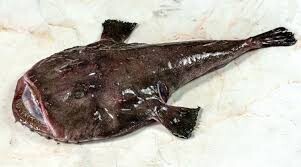 ΠΕΣΚΑΝΔΡΙΤΣΑ ΝΕΑ ΕΚΠΟΜΠΗ ΠΡΟΣΒΑΣΙΜΗ ΣΕ ΟΛΟΥΣ ΠΡΕΜΙΕΡΑ ΣΗΜΕΡΑ 23.15 ΔΙΑΒΑΙΝΟΝΤΑΣ ΤΗΝ ΑΝΟΠΑΙΑ ΑΤΡΑΠΟ 2026 ΕΠ.13 ΠΕΣΚΑΝΔΡΙΤΣΑ ΑΣ ΚΟΥΤΣΟΜΠΟΛΕΨΟΥΜΕ  