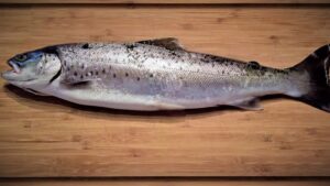 ΠΕΣΤΡΟΦΑ ΝΕΑ ΕΚΠΟΜΠΗ ΠΡΟΣΒΑΣΙΜΗ ΣΕ ΟΛΟΥΣ ΠΡΕΜΙΕΡΑ ΣΗΜΕΡΑ 23.15 ΔΙΑΒΑΙΝΟΝΤΑΣ ΤΗΝ ΑΝΟΠΑΙΑ ΑΤΡΑΠΟ 2026 ΕΠ.1 ΠΕΣΤΡΟΦΑ ΒΕΝΕΖΟΥΕΛΑ ΩΡΑ ΜΗΔΕΝ. Η ΑΝΑΛΥΣΗ .ΟΙ ΕΠΙΠΤΩΣΕΙΣ  