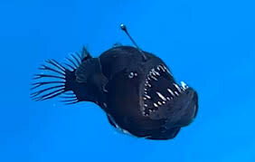 ΔΙΑΒΟΛΟΨΑΡΟ ΝΕΑ ΕΚΠΟΜΠΗ ΠΡΟΣΒΑΣΙΜΗ ΣΕ ΟΛΟΥΣ ΠΡΕΜΙΕΡΑ ΣΗΜΕΡΑ 23.15 ΔΙΑΒΑΙΝΟΝΤΑΣ ΤΗΝ ΑΝΟΠΑΙΑ ΑΤΡΑΠΟ 2026 ΕΠ.43 ΔΙΑΒΟΛΟΨΑΡΟ ΞΕΚΙΝΗΣΤΕ ΧΕΡΣΑΙΑ ΕΠΙΘΕΣΗ. ΦΕΡΤΕ ΤΟ ΟΥΡΑΝΙΟ  